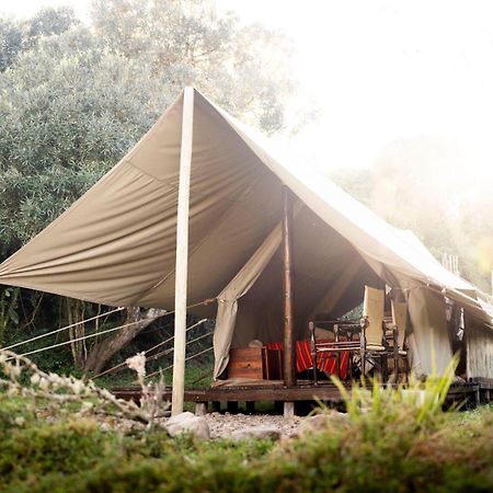 Quatermain'S 1920'S Safari Camp - Rezervaţia Naturală Amakhala Exterior foto