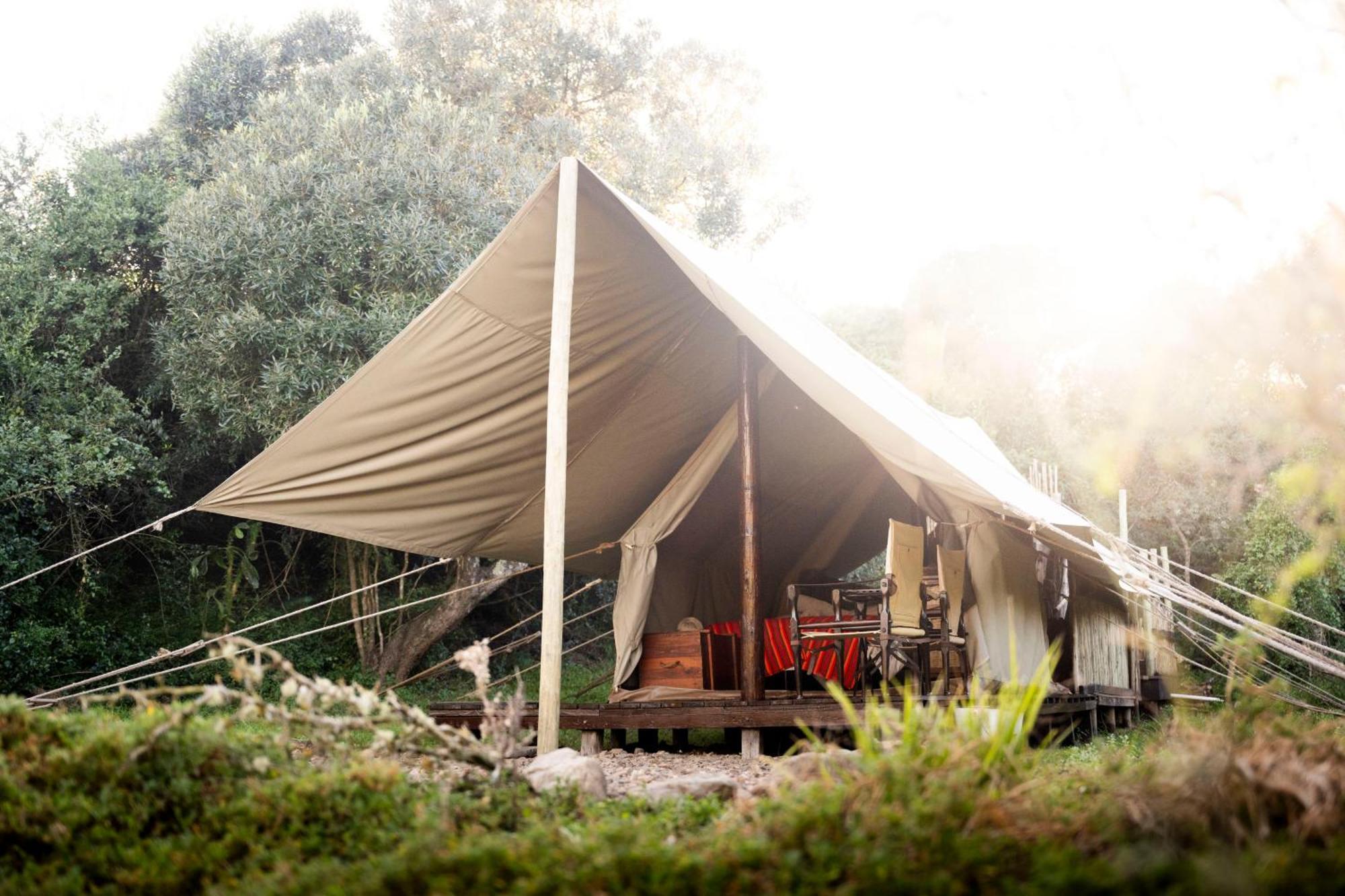 Quatermain'S 1920'S Safari Camp - Rezervaţia Naturală Amakhala Exterior foto