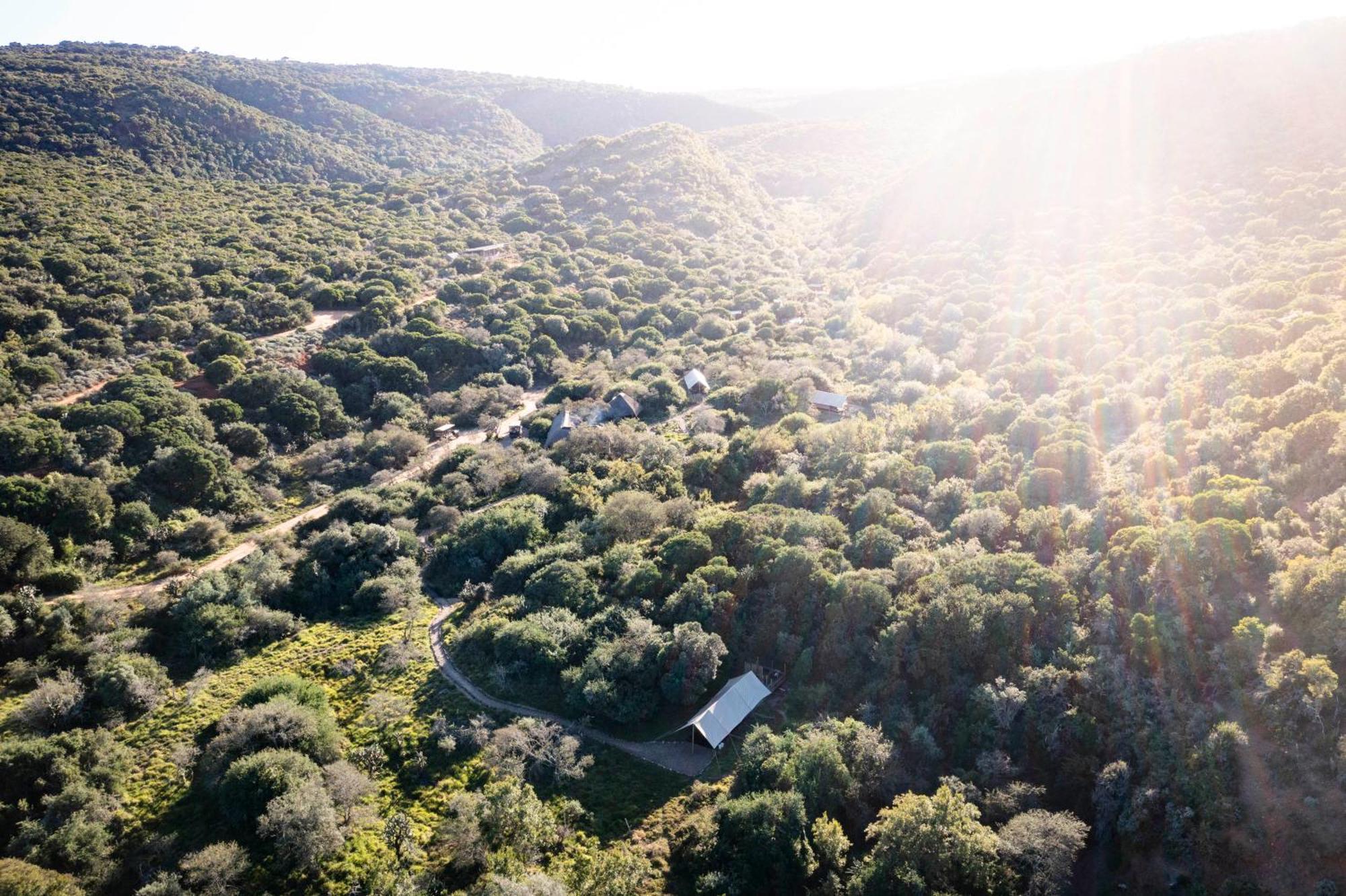 Quatermain'S 1920'S Safari Camp - Rezervaţia Naturală Amakhala Exterior foto