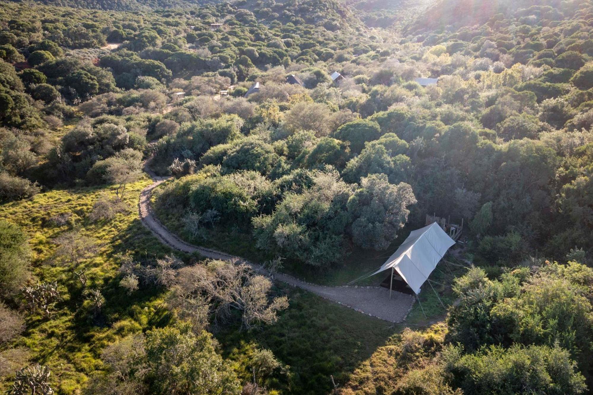 Quatermain'S 1920'S Safari Camp - Rezervaţia Naturală Amakhala Exterior foto
